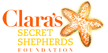 Clara's Secret Shepherds Foundation